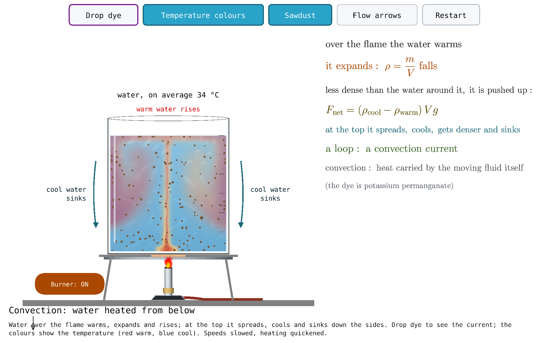 Convection in Water Heated from Below