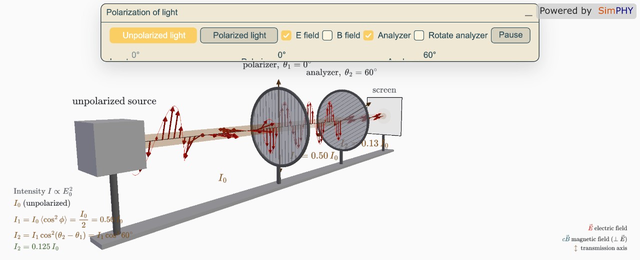 3D Polarization and Malus’s Law